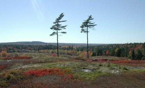 Доклад-сообщение на тему: "Природные зоны России"