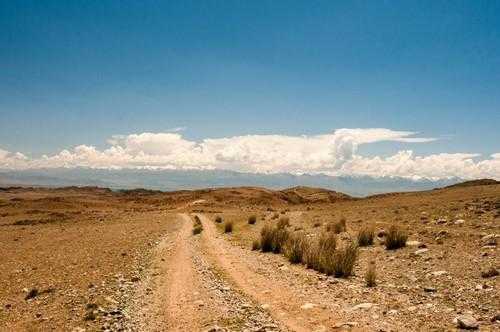 Доклад-сообщение на тему: "Природные зоны России"