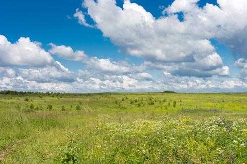 Доклад-сообщение на тему: "Природные зоны России"