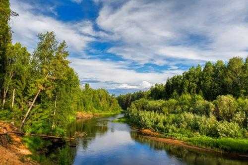 Природные экосистемы - виды, характеристика и фото