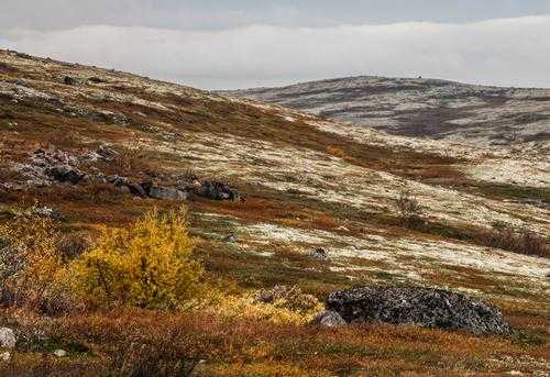 Природные экосистемы - виды, характеристика и фото