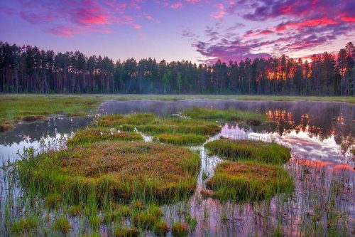 Внутренние воды России – виды, особенности и значение