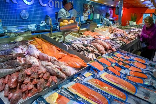 Прилов - животные, ставшие случайными жертвами рыбного промысла