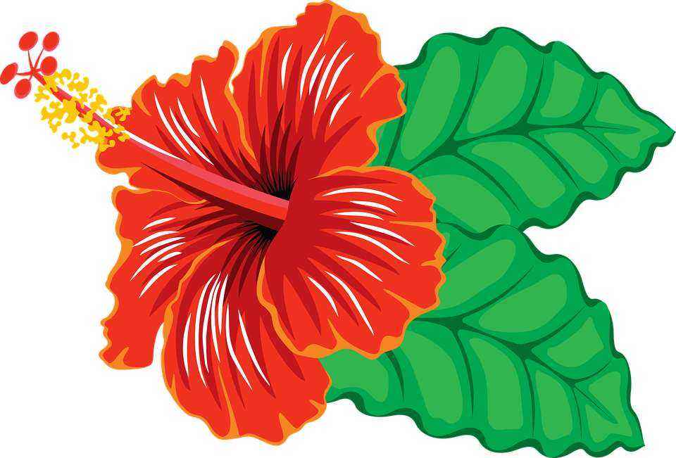 Детские картинки цветов с названиями