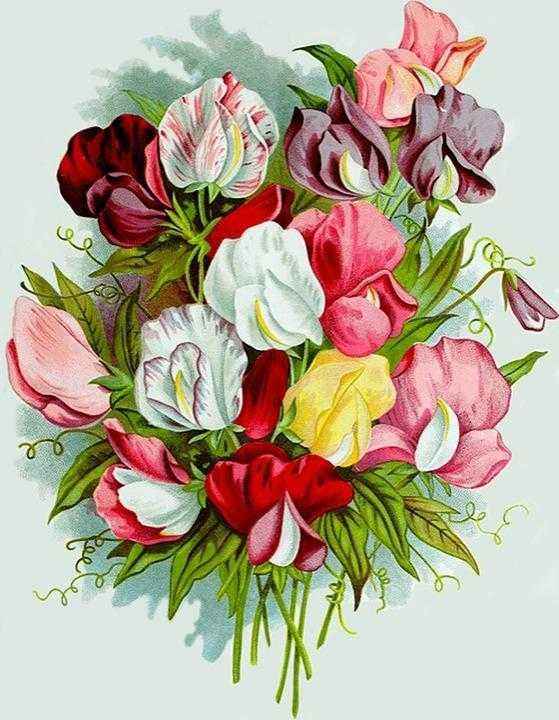 Детские картинки цветов с названиями