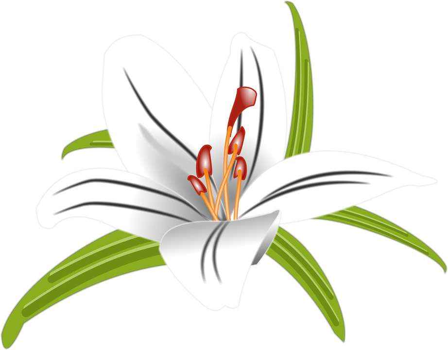 Детские картинки цветов с названиями