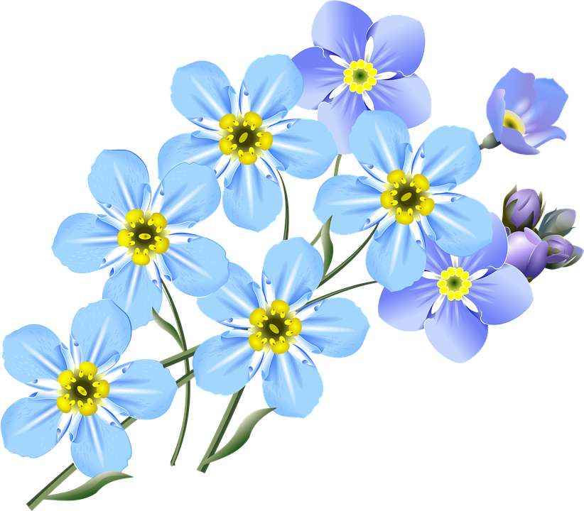 Детские картинки цветов с названиями