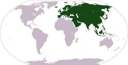 Путешествие по континентам Мира