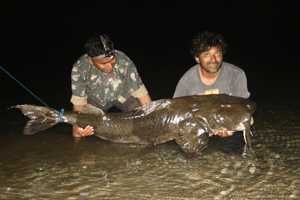 ТОП-16 смертоносных и ядовитых рыб на Земле