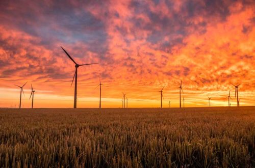 Земля – наш общий дом