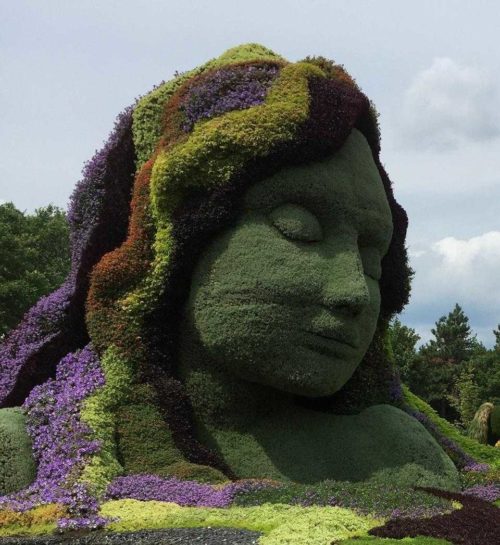 Живая ли планета Земля?