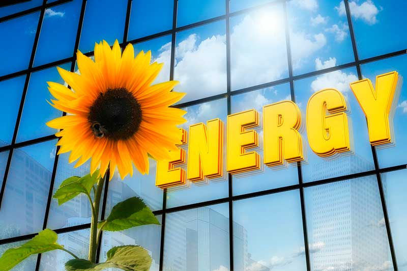 Альтернативная энергетика: типы, роль, плюсы и минусы нетрадиционных источников энергии