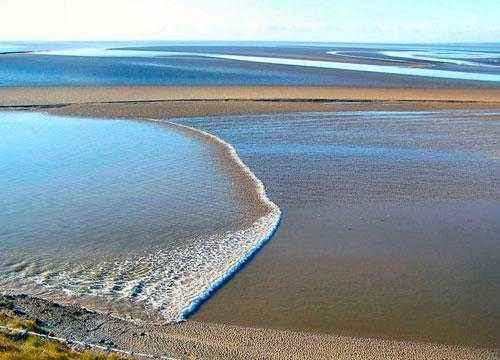 ТОП 14 удивительных явлений природы - характеристика и фото