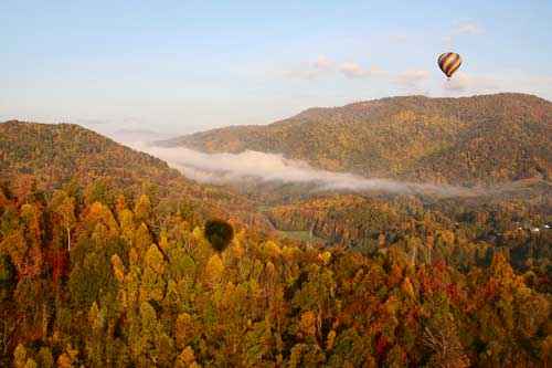 Какие природные зоны есть в Северной Америке — описание, климат, почвы, животные и растения