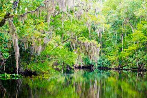 Какие природные зоны есть в Северной Америке — описание, климат, почвы, животные и растения