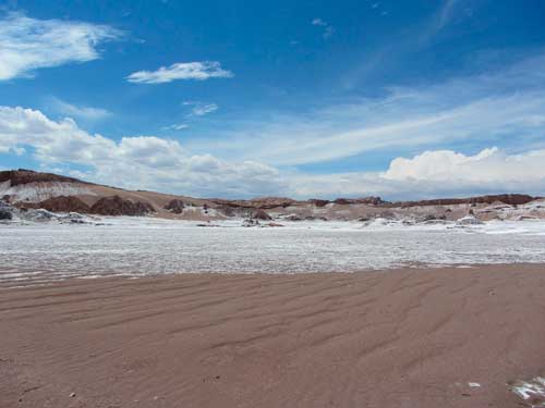 Какие природные зоны есть в Южной Америке — описание, климат, почвы, животные и растения