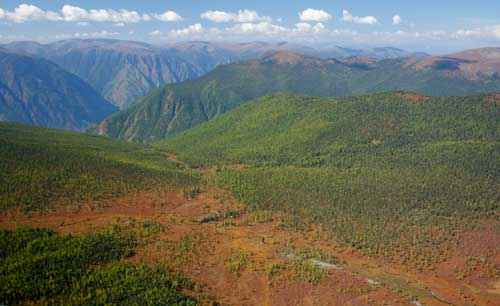 Какие крупные природные комплексы выделяют на территории России?