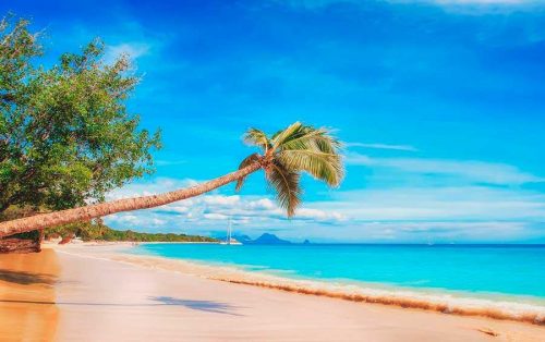 Географические особенности Атлантического океана — краткое описание