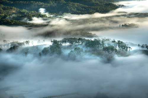 Какие природные зоны есть в Евразии? арта, названия, географическая характеристика и таблица