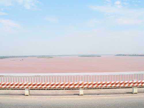 Реки, впадающие в Тихий океан - названия, фото и описание