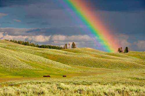 Что такое географические явления - определение, примеры и характеристика