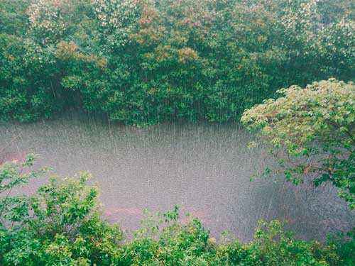 Что такое географические явления - определение, примеры и характеристика