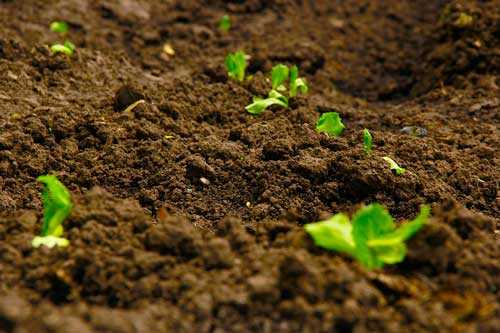 Что такое географические процессы - определение и примеры