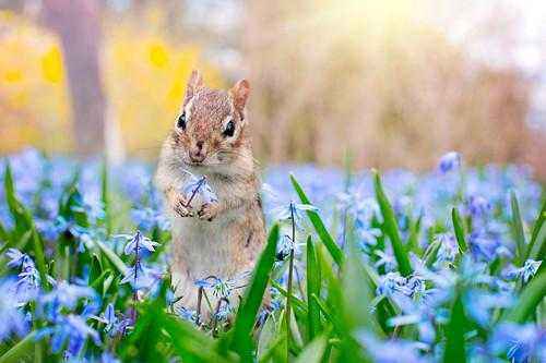 Примеры сезонных явлений живой и неживой природы