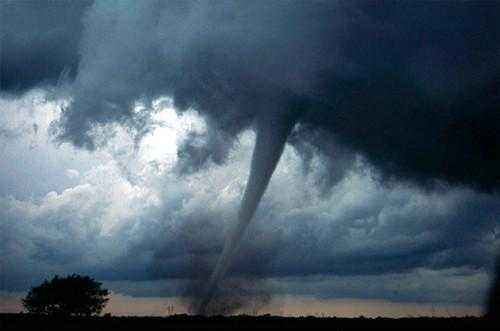 Примеры сезонных явлений живой и неживой природы