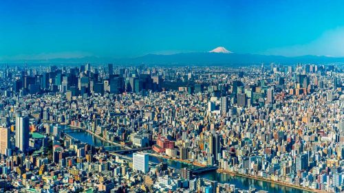 Человек и природа - примеры связи и значение природы для людей