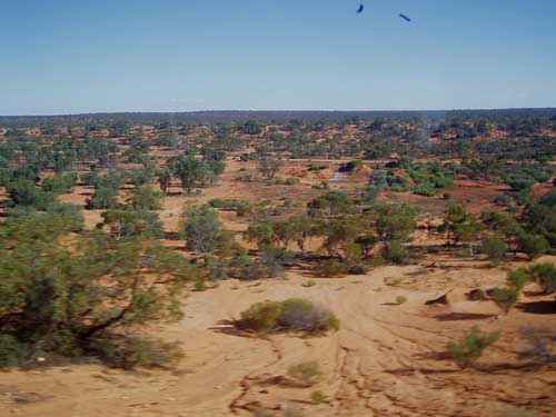 Какие пустыни самые большие на Земле - список, характеристика и фото