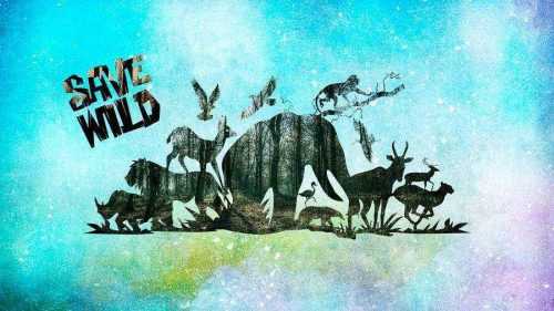 Красная книга России - зачем нужна, примеры редких животных и растений