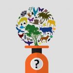 биосфера, живое вещество, организмы, растения, животные, флора и фауна, масса, вес, иллюстрация