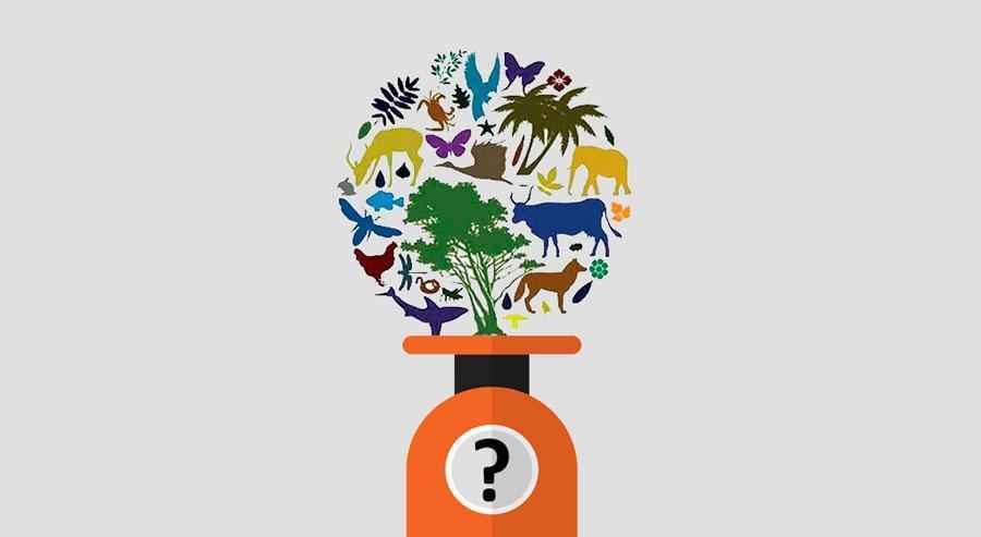 биосфера, живое вещество, организмы, растения, животные, флора и фауна, масса, вес, иллюстрация