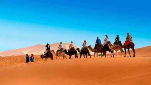 Какой бывает транспорт? История, виды и воздействие на окружающую среду