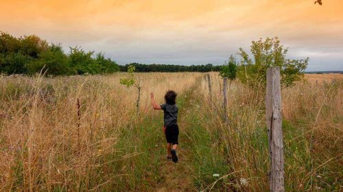 Малая родина - тема окружающего мира