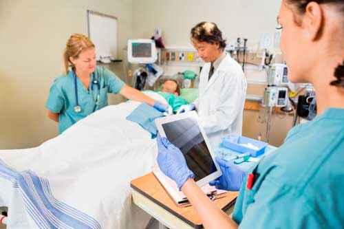 Природные богатства и труд людей - основа экономики