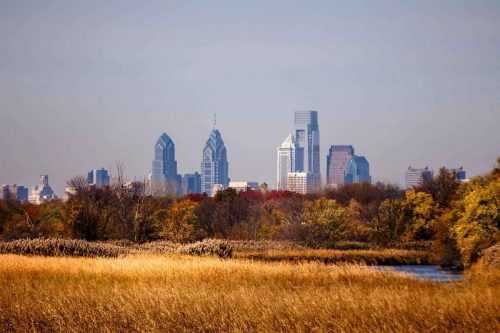 Мир глазами эколога — окружающий мир