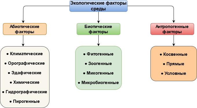 Экологические факторы окружающей среды - схема, виды, примеры и адаптация организмов