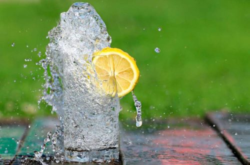 Что такое питательные вещества? 6 основных видов нутриентов