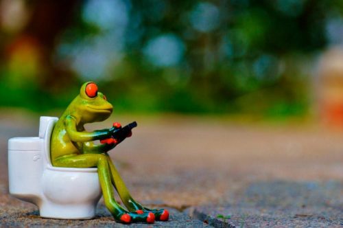 Особенности процесса выделения у растений и животных