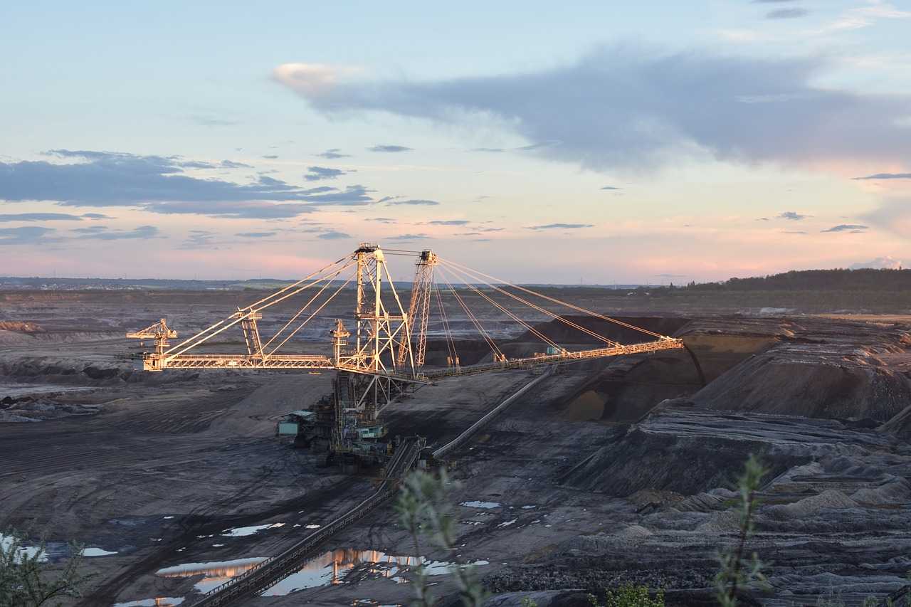 Природа, флора и фауна Германии — характеристика и фото