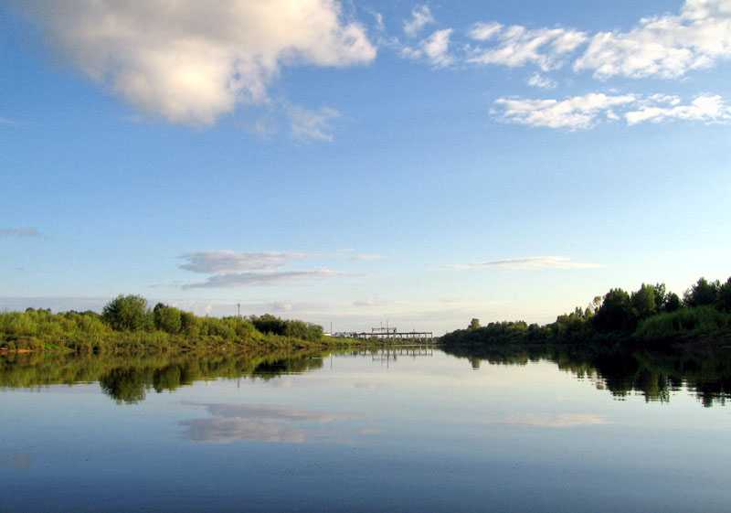 Притоки Волги — крупнейшие правые и левые притоки реки