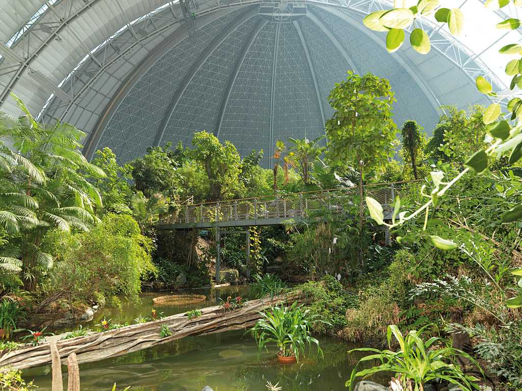 Природа, флора и фауна Германии — характеристика и фото