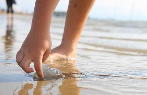 Какие медузы водятся в Азовском море? Жалят ли они людей?