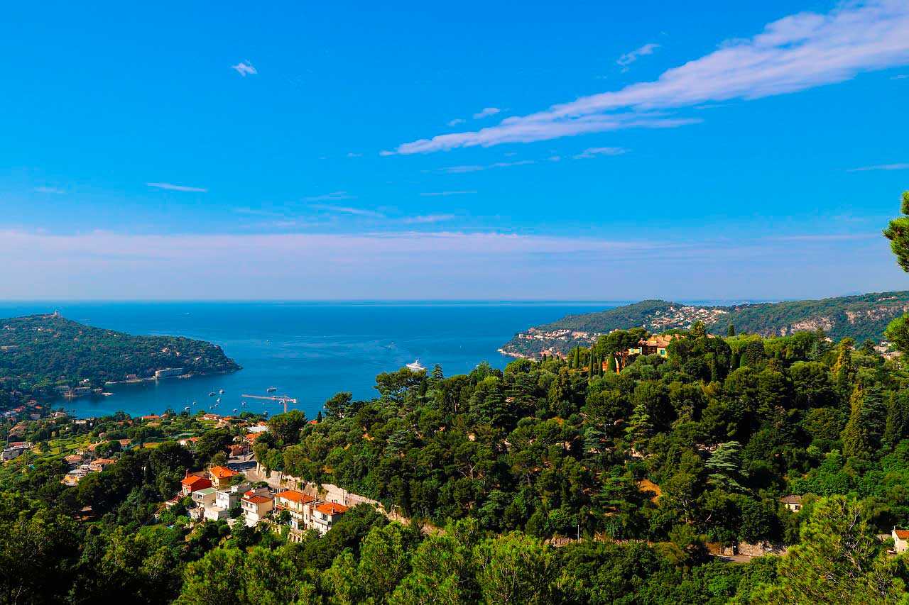 Природа, флора и фауна Франции — характеристика и фото