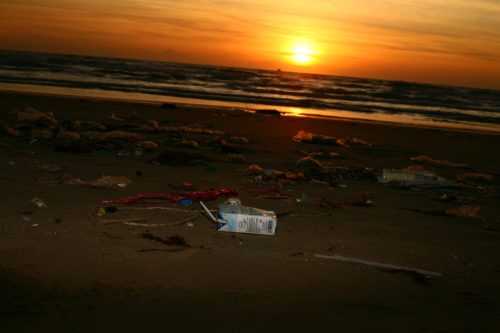 Географические особенности Индийского океана — краткое описание