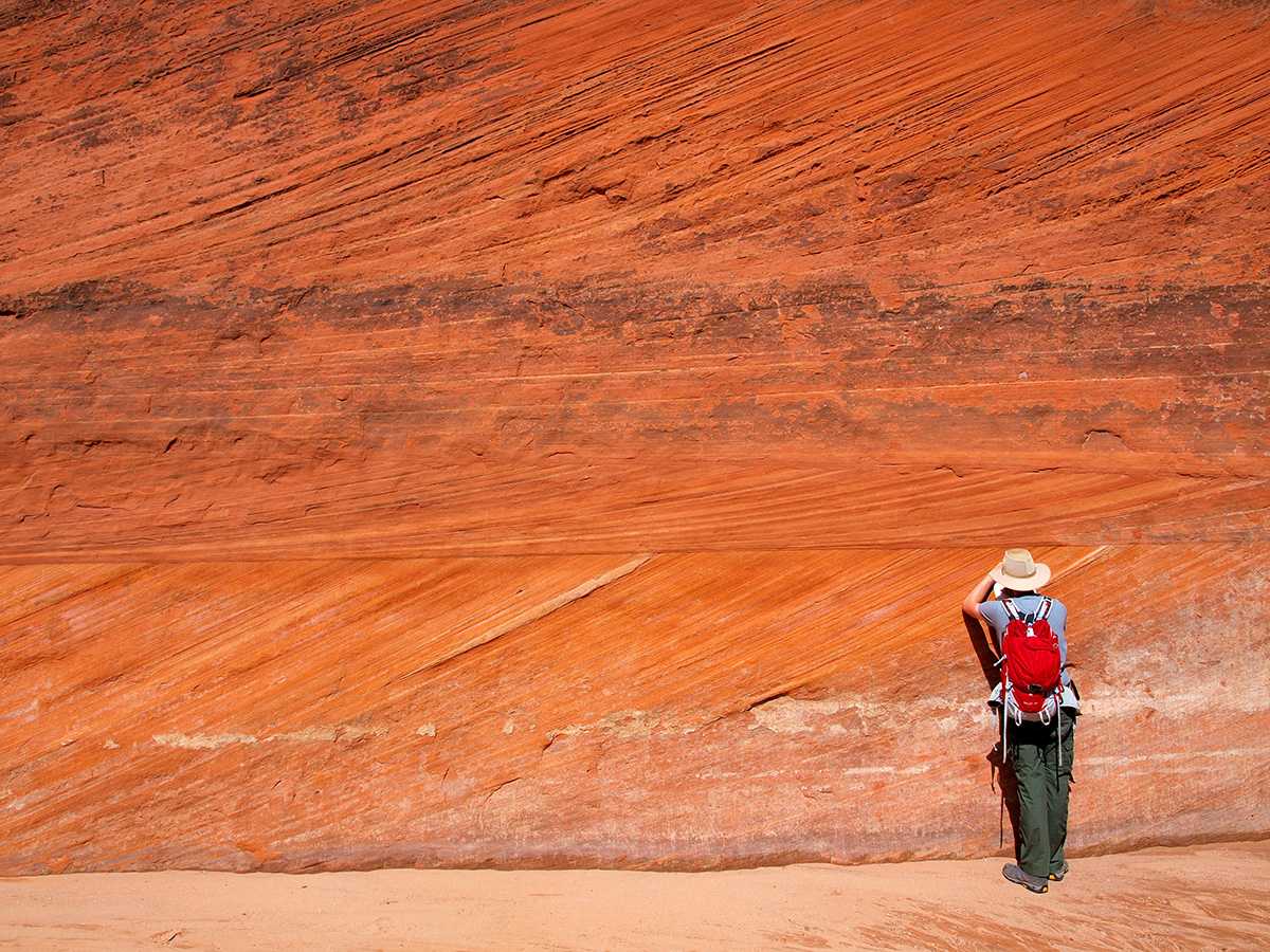 геолог, работа, порода