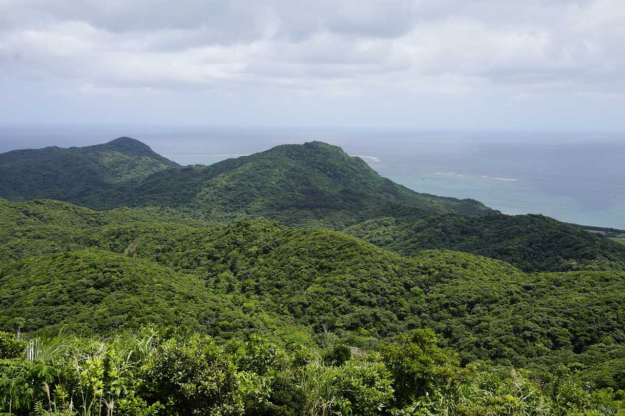 Природа, флора и фауна Японии — характеристика и фото