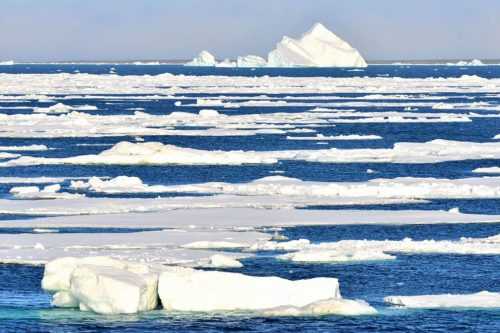 Братья Лаптевы — биография, открытия и маршруты экспедиций